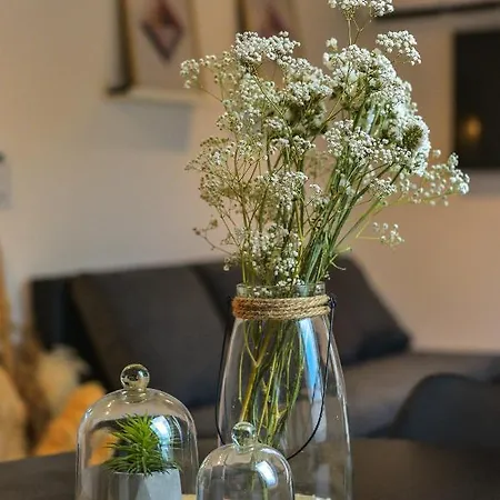 Apartman Sinjska Alka Apartment *
